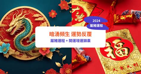 屬豬2024運程|【屬豬2024生肖運勢】暗湧頻生，運勢反覆｜屬豬運 